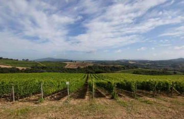 Fattoria Poggio Capponi - Foto 30