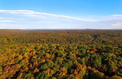 Cabin Oasis - Nestled in the Woods Seclusion - Foto 47