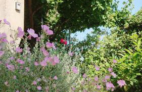 Evilion house inTholo. Sea, nature, relaxation! - Foto 51