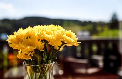 Sonnen Panorama - Abenteurer und Weltentdecker - Foto 7