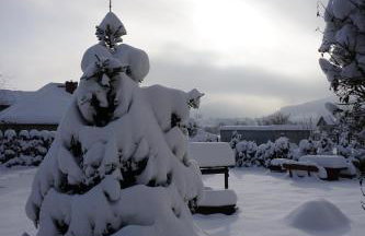 Uroczy Domek z Kominkiem - Foto 39