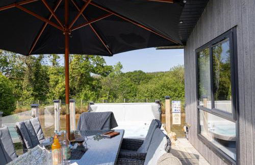 Lilac Lodge, 22 Roadford Lake Lodges - Foto 28