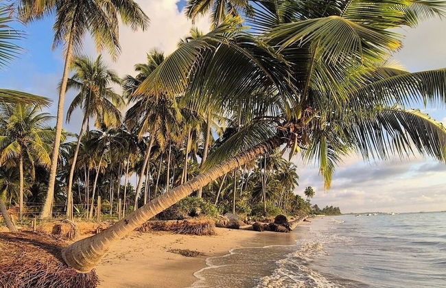 Xaréu Flats Maragogi - Photo 15