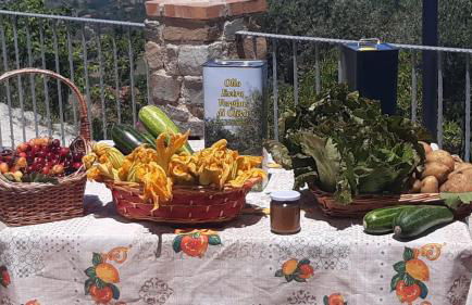 Agriturismo Gli Antichi Sapori - con stazione di ricarica veicoli elettrici - Foto 49