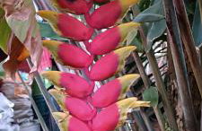 Casa de Campo , Lagoa Nova - Linhares ES - Foto 6