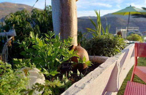 DRAGO 100, quiet and friendly - Foto 58