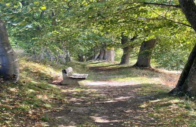 Beautiful Apartment in a Spa Resort, Only 2,5 km From the Jáchymov Chairlift - Keilberg - Photo 14