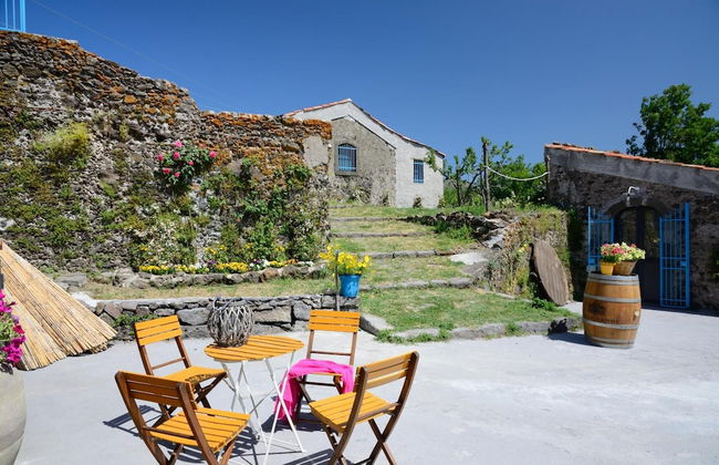 Il Tanaceto - Foto 18