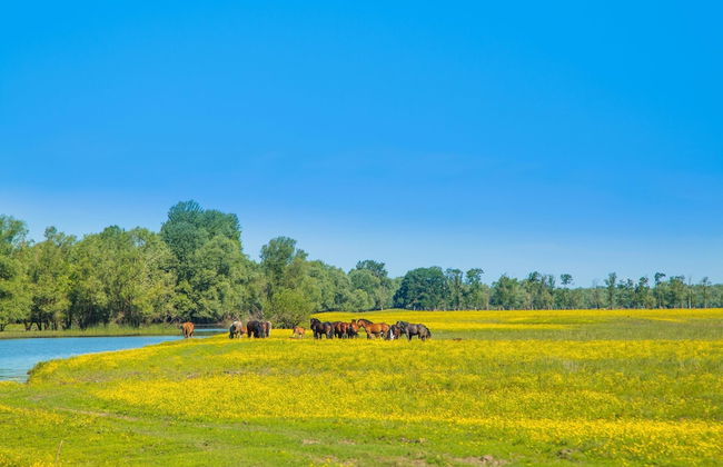 Riverside House With Hot Tub - Photo 37
