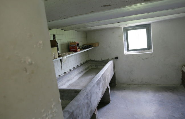 Peaceful Farmhouse in Doorn near Forest - Photo 23