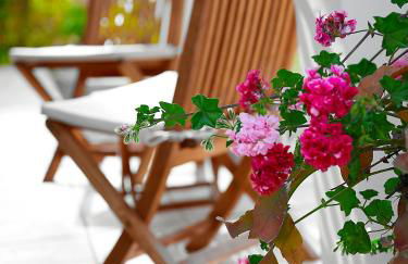 Agroturisme Can Planells - Foto 47