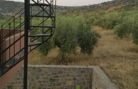 House of Polymnia - Photo 12