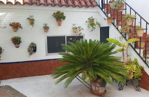 Sevilla a tus pies - Foto 20