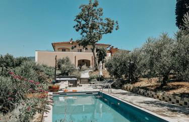 The Olive Grove in Tuscany - Foto 17