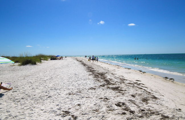 Sunshine Siesta - Hosted By SkyRun Anna Maria - Foto 65