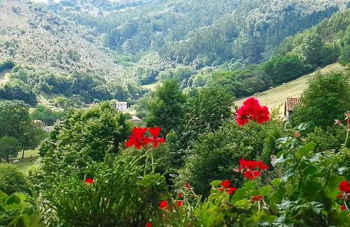 Finca Artienza - Foto 26