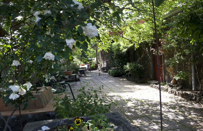 Cirasellaetna - Foto 29