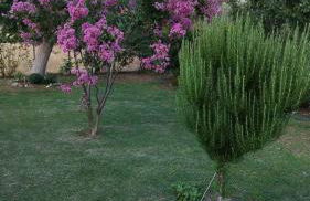 Meteora countryside villa - Foto 59