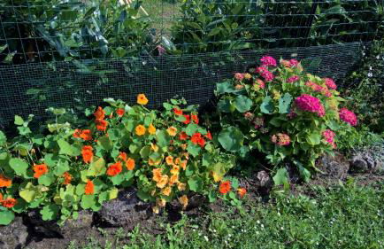 Borgo Foce La Spezia - Photo 15