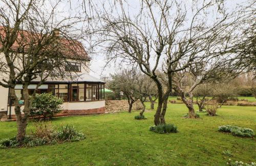 Pringles Orchard - Photo 48