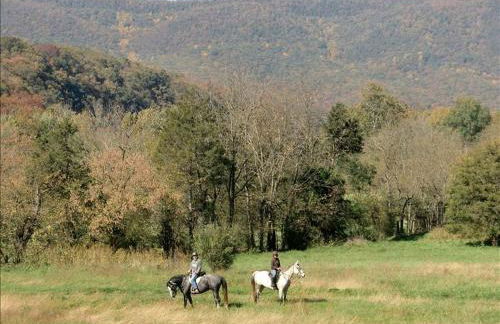 Inviting Cottage Rental on a Private Farm in Rileyville, Virginia - Photo 19
