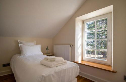 Domaine Mont-Riant à Jurançon - Foto 13