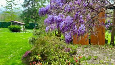 Alpi Liguri - Villa Giulia - Foto 4