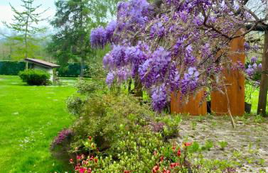 Alpi Liguri - Villa Giulia - Foto 4