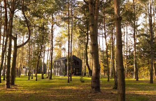 Jemioła Chaty Niedźwiady Małe - Foto 10