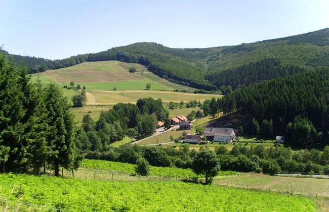 Magnific Holiday Home in Untervalme near Ski Area - Foto 16