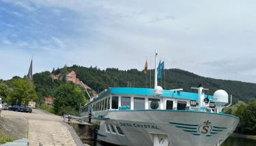 Natur und Neckarblick bei Heidelberg - Foto 2