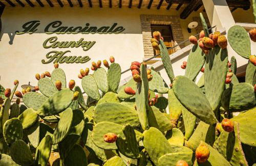 Country House Il Cascinale - Photo 11