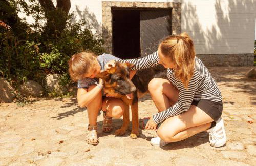 FEWO Reitanlage bei Altefähr - Foto 33