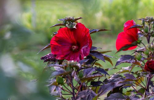 House4Seasons - Foto 60