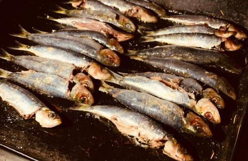 Villa for 10 with swimming pool and sea view - Foto 75