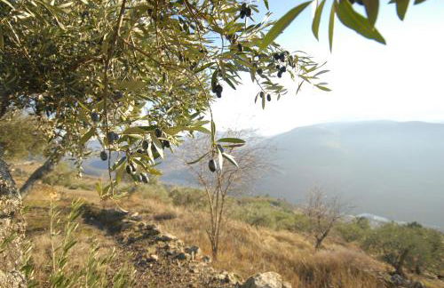 Seven Books House - Foto 40