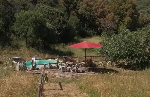 Eco Lodge nella natura Con Piscina privata "La Grande Quercia" - Foto 7