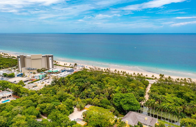 Purple Pelican by Opus (Suite 1) - Foto 32