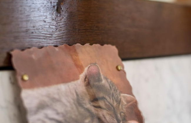 Nengshof - Haus Wildrose - Photo 10