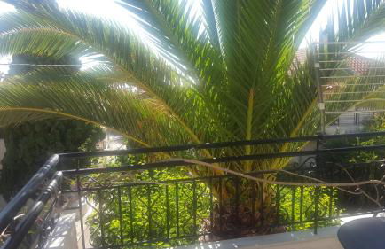 Ostria Maisonettes and Studios - Foto 30