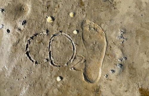 Ferienhaus Herzmuschel - Foto 27