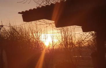 Ferienwohnung Möwennest - Photo 20