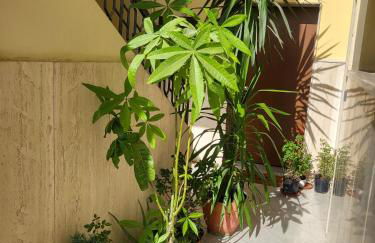 Il balcone sulla piazza - Photo 9