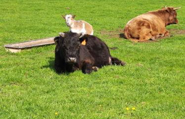 LE GITE ADORE - Foto 10