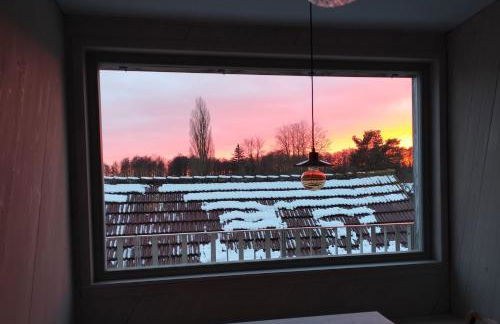 Butterfeld - Foto 25