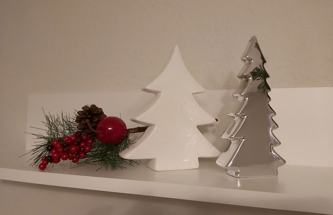 Ferienwohnungen Haus Zeier - Foto 13