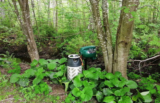 Ruokovirran mökki - Foto 7