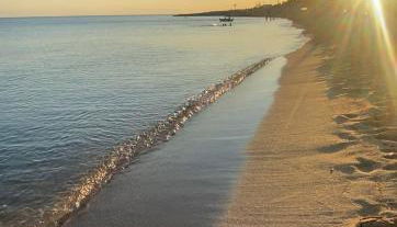 Il Fenicottero - Foto 5