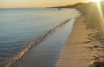 Il Fenicottero - Foto 5