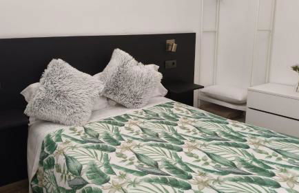 APARTAMENTOs TURÍSTICOS PLAZA ATOCHAS # 4 - Foto 43